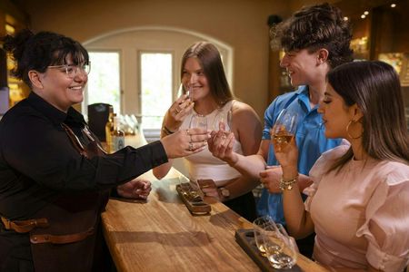 Irish Whiskey Museum Classic 1-Hour Tour and Tasting
