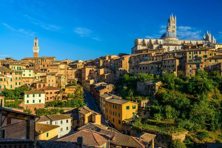 Guided Tour of Siena's Historical Centre and Cathedral