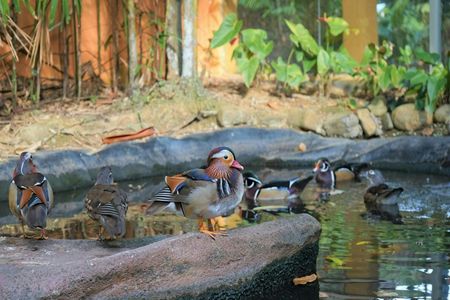 Entrance e-ticket for Langkawi Wildlife Park