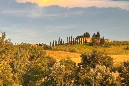 Chianti wine tour with sampling of wines, oil and balsamic vinegar