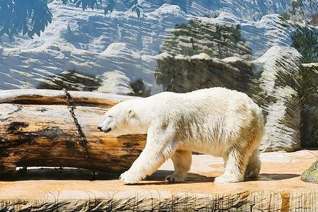 Prague Zoo ticket with online audio guide