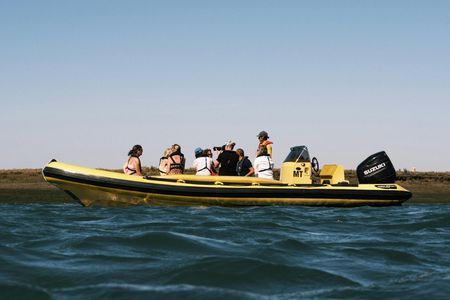 Ria Formosa Eco-Boat Guided Tour with a Marine Biologist