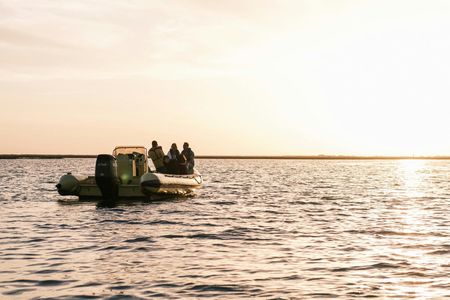 Ria Formosa Sunset Boat Tour with a Marine Biologist