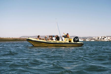 Deserta and Farol Islands Guided Tour with Lunch