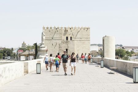 Córdoba full-day trip from Seville