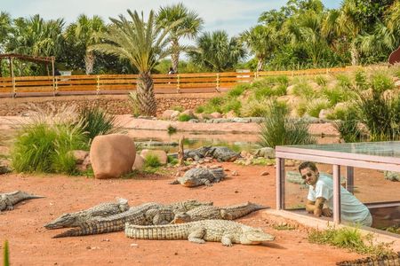 Morning Tour to Crocoparc & Tree-Climbing Goats From Agadir or Taghazout