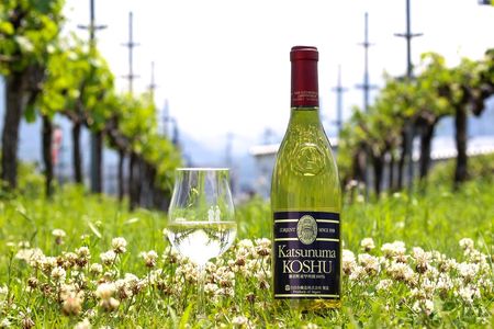 Special Wine Tour at Shirayuri Winery in Katsunuma Yamanashi