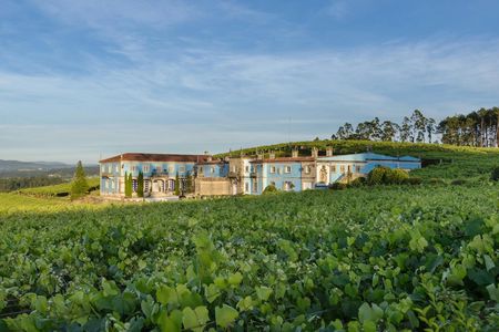 Albariño Wine Tasting with Guided Winery Tour
