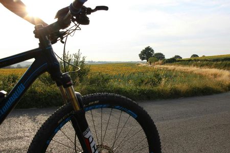 Scenic E-Bike Tour in Chianti Wine Region with Lunch
