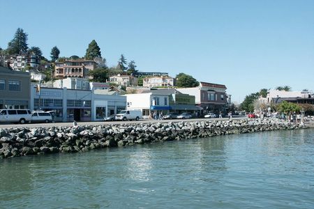 Muir Woods and Sausalito guided tour with transportation