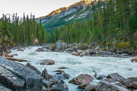 Self-Guided Canadian Rockies Bundle: Drive & Walk With Audio Tour