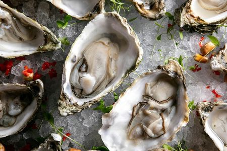 Oyster Happy Hour with Bubbles and Live Music in London