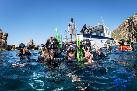 Guided snorkelling trip in Medes Islands Marine Reserve