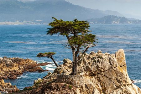 Self-Guided Audio Driving Tour of 17-Mile Drive