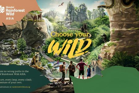 Rainforest Wild Asia