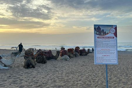Sunset Camel Ride with BBQ Dinner from Agadir or Taghazout