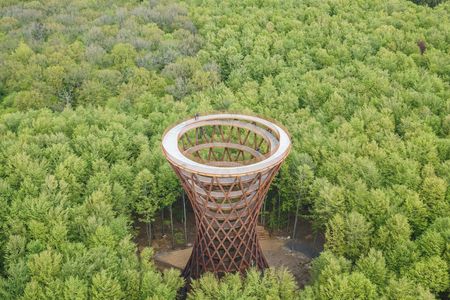 Full-day tour to Forest Tower and Forgotten Giants from Copenhagen