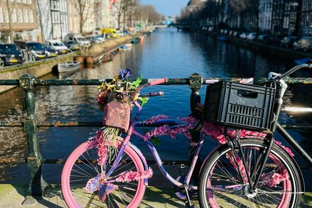 Amsterdam food tour with full meal and drinks
