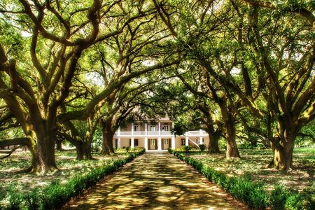 Whitney Plantation Tour