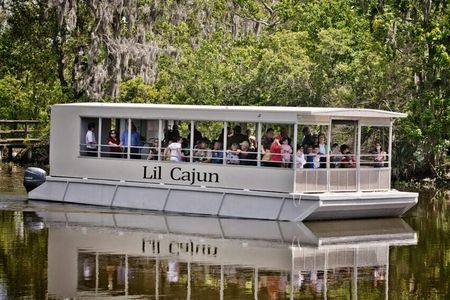 Guided Swamp and Bayou Boat Tour