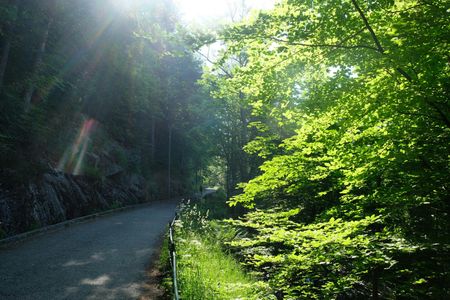 Small-group tour of Bergen with hiking and local history