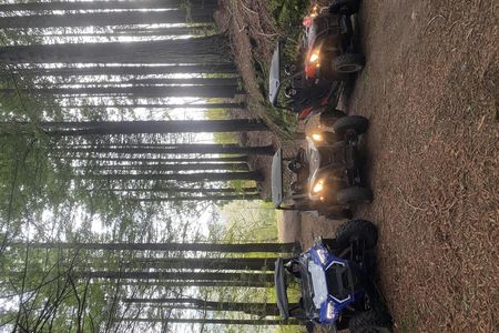 Private buggy off-road driving experience in Madeira