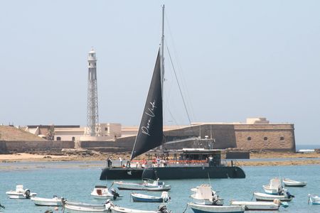 Sunset catamaran experience in Cadiz with one drink