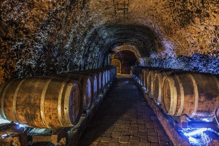 Full-day La Rioja wineries tour from Bilbao