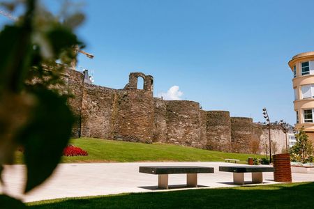 Lugo's Roman Wall and Cathedral guided tour with entry tickets