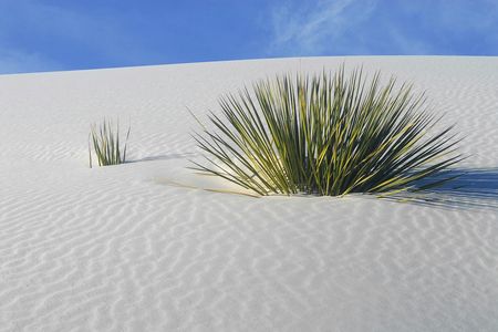 Self-Guided Audio Driving Tour of White Sand National Park