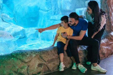 Barcelona city tour hop-on hop-off bus tickets with Aquarium
