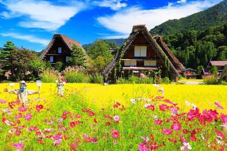 Hida Takayama and Shiragawa-go Guided Tour from Nagoya
