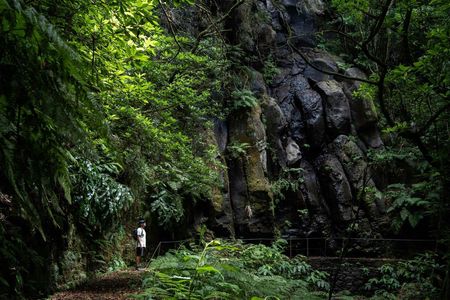 Transfer to Levada do Caldeirão Verde with Pick-Up