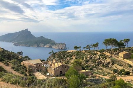 Panoramic coastal excursion from Sant Elm village with beach stop