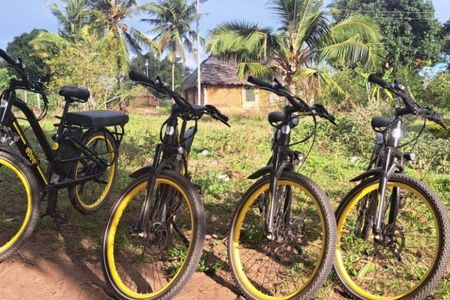Cultural e-bike tour from Diani Beach