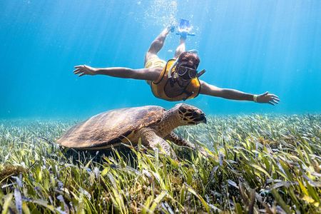 Cancun snorkelling tour with turtles, reefs, shipwreck and more