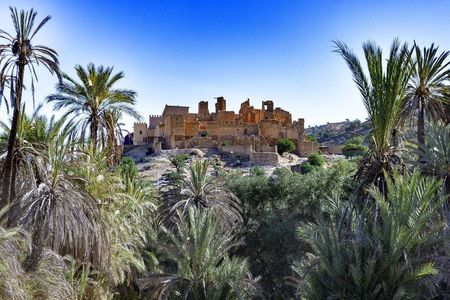 Day trip to Taroudant and Tiout with lunch from Agadir or Taghazout