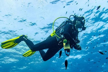 Scuba tour with one dive from Bonaire Harbour for certified divers