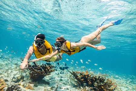 Snorkelling experience for non-swimmers in Cancun