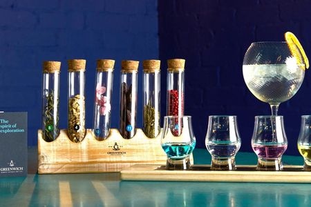 Gin masterclass with tasting in London