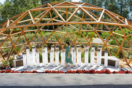 BiBo Park Ibiza's Biotech Botanical Garden tickets and guided tour