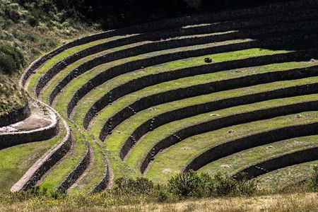 Half-day guided tour of Moray circular terraces and Maras salt ponds