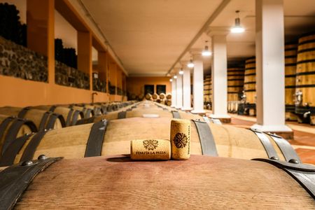 Wine tour with tasting in the Garda Hills