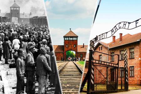 From Krakow: Auschwitz Birkenau self guided with Transport