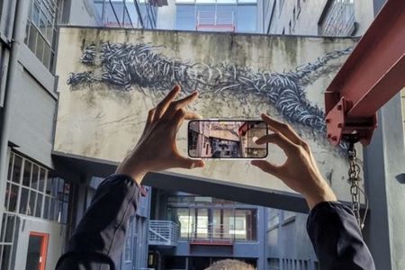 Cape Town street art private tour