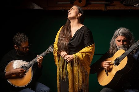 Traditional fado show with local artists in Porto