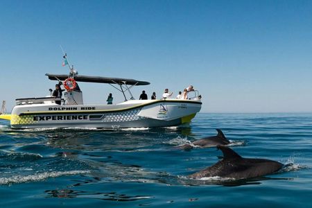 Dolphin watching and guided boat tour