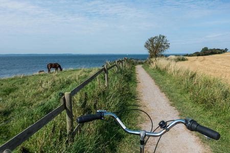Self-guided tour all around Øresund