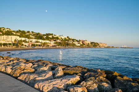 Guided tour of Malaga’s fishing scene with cooking workshop