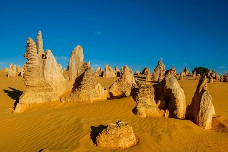 Pinnacles and Swan Valley Full-day Guided Tour
